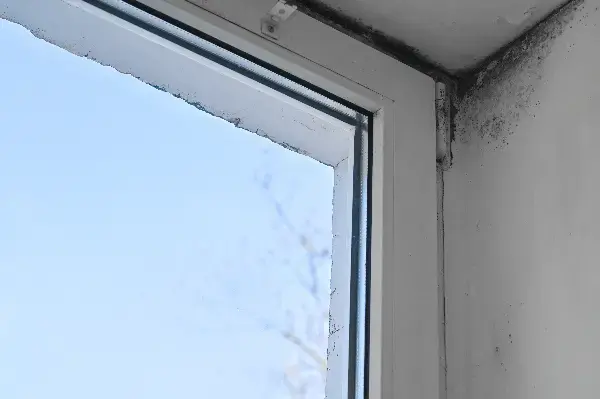 Window replacement in Norwalk, CT